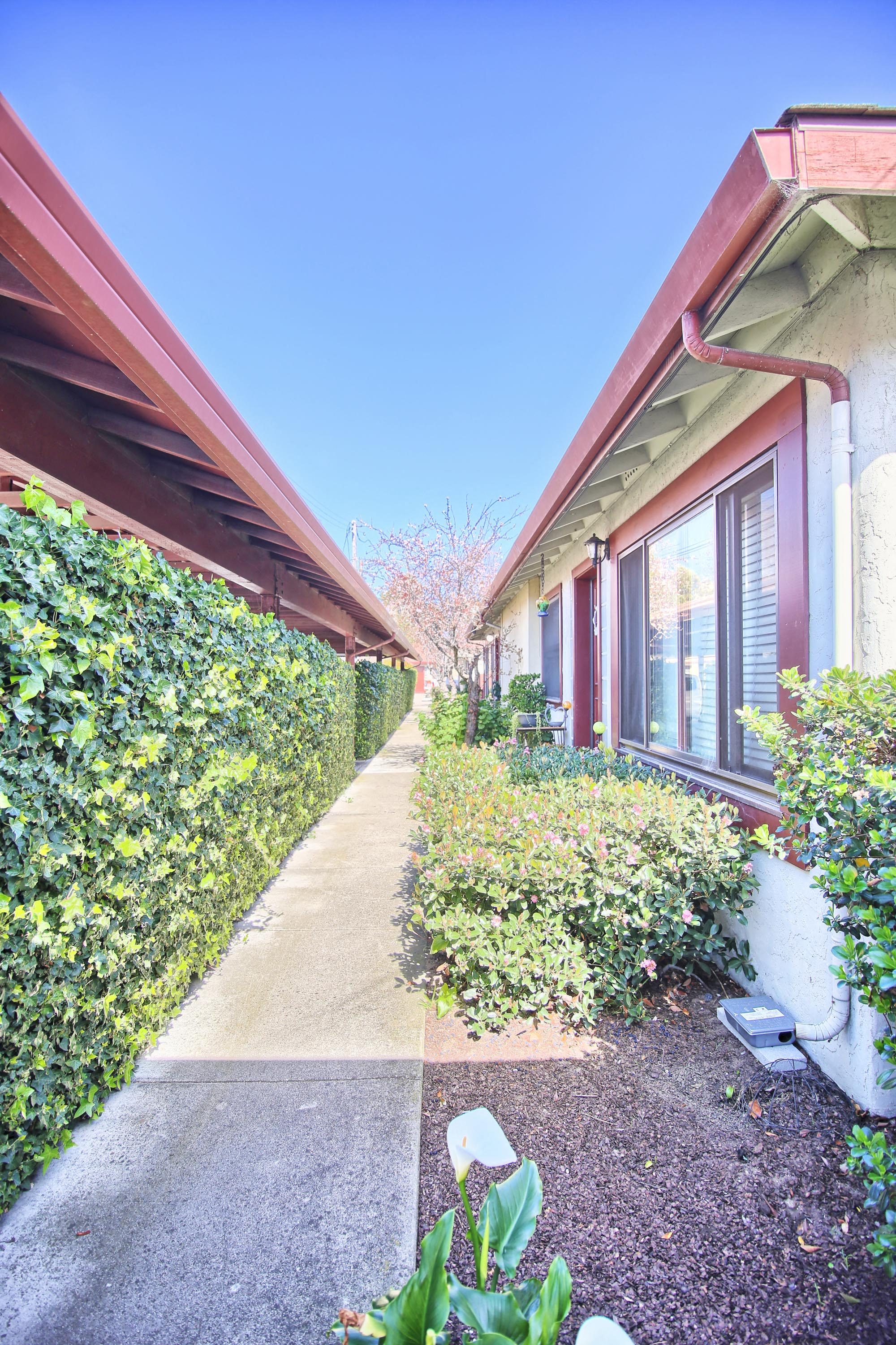 Los Arboles Apartments